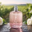 Caudalie Rose de Vigne Fresh Fragrance 50ml