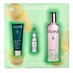 Caudalie Promo Face Mist Beauty Elixir 100ml & Δώρο Instant Detox Mask 15ml & Δώρο Brightening Dark Spot Serum 10ml