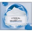 L\'Oreal Paris Collagen Expert Filler Day Cream 50ml L\'Oreal Paris Collagen Expert Filler Day Cream 50ml