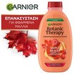 Garnier Botanic Therapy Maple Healer Shampoo 400ml