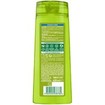 Garnier Fructis Strength & Shine 2in1 Shampoo 400ml Garnier Fructis Strength & Shine 2in1 Shampoo 400ml