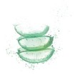 Garnier Fructis Aloe Hydra Bomb Shampoo 400ml Garnier Fructis Aloe Hydra Bomb Shampoo 400ml