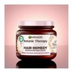 Garnier Botanic Therapy Hair Remedy Oat Delicacy Mask 340ml