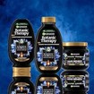 Garnier Botanic Therapy Magnetic Charcoal & Black Seed Oil Shampoo 400ml