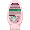 Garnier Botanic Therapy Grape Moistrure Conditioner 200ml