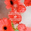 Roger & Gallet Fleur de Figuier Wellbeing Shower Gel - 200ml