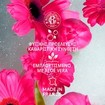 Roger & Gallet Rose Wellbeing Shower Gel - 500ml