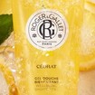 Roger & Gallet Πακέτο Προσφοράς Citrus Fragrant Wellbeing Water Perfume 100ml & Wellbeing Shower Gel 50ml & Δώρο Perfumed Body Soap Bar 50g