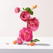 Roger & Gallet Promo Bath Tablets Collection Fleur de Figuier 3x25g & Rose 3x25g