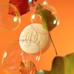 Roger & Gallet Promo Bois D\' Orange Wellbeing Water Perfume 30ml & Soap Bar 50g & Δώρο Νεσεσέρ 1 Τεμάχιο