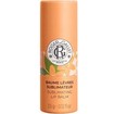 Roger & Gallet Sublimating Lip Balm 3,5g - Neroli Roger & Gallet Sublimating Lip Balm 3,5g - Neroli