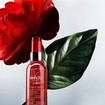 Phyto Laque Botanical Hair Spray Light Hold 150ml Phyto Laque Botanical Hair Spray Light Hold 150ml
