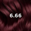 Phyto Permanent Hair Color Kit 1 Τεμάχιο - 6.66 Βαθύ Κερασί Ανοικτό Καστανό Phyto Permanent Hair Color Kit 1 Τεμάχιο - 6.66 Βαθύ Κερασί Ανοικτό Καστανό
