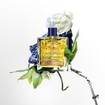Phyto 7 Elixir Smoothing Enhancing Oil 100ml Phyto 7 Elixir Smoothing Enhancing Oil 100ml