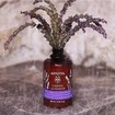 Apivita Caring Lavender Απαλό Αφρόλουτρο για Ευαίσθητες Επιδερμίδες 250ml