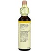 Bach Wild Oat (Bromus Ramosus) Ανθοΐαμα σε Σταγόνες 20ml