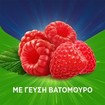 Haleon Promo Pan Natural Cough Raspberry Lozenges 32 Τεμάχια (2x16 Τεμάχια)