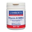 Lamberts Vitamin A 5000iu 120caps Lamberts Vitamin A 5000iu 120caps