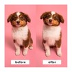 Pet Teezer Puppy Brush with Extra Soft Teeth Πράσινο 1 Τεμάχιο