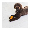 Pet Teezer Detagling & Dog Grooming Brush 1 Τεμάχιο - Μπλε/ Μαύρο