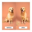 Pet Teezer De-Shedding & Dog Grooming Brush 1 Τεμάχιο - Σιέλ/ Ροζ