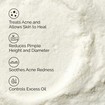 The Ordinary Sulfur 10% Powder-to-Cream Concentrate 5g The Ordinary Sulfur 10% Powder-to-Cream Concentrate 5g
