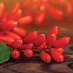 Olonea Berbemax Berberine Complex 30caps Olonea Berbemax Berberine Complex 30caps