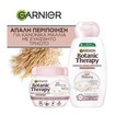 Garnier Botanic Therapy Πακέτο Προσφοράς Oat Milk Delicacy Shampoo 400ml & Hair Mask 300ml