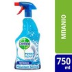 Dettol Power & Pure Spray with Fresh Mountain Spring 750ml Dettol Power & Pure Spray with Fresh Mountain Spring 750ml