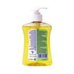 Dettol Liquid Soap Citrus Αντιβακτηριδιακό Υγρό Κρεμοσάπουνο με Εκχύλισμα Κίτρου 250ml Dettol Liquid Soap Citrus Αντιβακτηριδιακό Υγρό Κρεμοσάπουνο με Εκχύλισμα Κίτρου 250ml