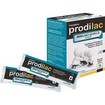 Frezyderm Prodilac Immuno Shield Start 10 Φακελάκια Frezyderm Prodilac Immuno Shield Start 10 Φακελάκια