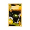 Korres Promo Refreshing Surprise Citrus Showergel 250ml & Citrus Body Milk 125ml σε Ειδική Τιμή
