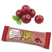 Δώρο Wish Bars Cereals & Cranberry Μπάρα Υγιεινής Διατροφής Χωρίς Ζάχαρη με Δημητριακά & Κράνμπερι 25g