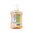 Dettol Liquid Soap Grapefruit Αντιβακτηριδιακό Υγρό Κρεμοσάπουνο Χεριών με Άρωμα Γκρέιπφρουτ 250ml Dettol Liquid Soap Grapefruit Αντιβακτηριδιακό Υγρό Κρεμοσάπουνο Χεριών με Άρωμα Γκρέιπφρουτ 250ml