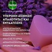 Dettol Lavender & Violet Blossom Fragrance Soothe Liquid Hand Wash - 500ml Refill Dettol Lavender & Violet Blossom Fragrance Soothe Liquid Hand Wash - 500ml Refill