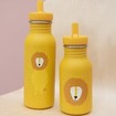 Trixie Bottle Κωδ 77308 500ml - Mr. Lion