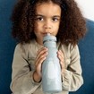 Trixie Bottle Κωδ 77904, 500ml - Mr. Shark