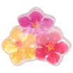 Invisibobble Clipstar Kids Bearly Bloomed 4 Τεμάχια