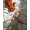 Moonie The Professional Baby Sleep Aid Humming Bear Κωδ N-GRN, 1 Τεμάχιο - Caramel Moonie The Professional Baby Sleep Aid Humming Bear Κωδ N-GRN, 1 Τεμάχιο - Caramel