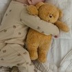 Moonie The Professional Baby Sleep Aid Humming Bear Κωδ M-HON, 1 Τεμάχιο - Honey Moonie The Professional Baby Sleep Aid Humming Bear Κωδ M-HON, 1 Τεμάχιο - Honey