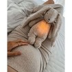 Moonie The Ultimate 8 in 1 Baby Sleep Aid Κωδ K-KGR2, 1 Τεμάχιο - Gray Bunny Moonie The Ultimate 8 in 1 Baby Sleep Aid Κωδ K-KGR2, 1 Τεμάχιο - Gray Bunny