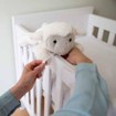 Zazu LIZ Προβατάκι Λούτρινο με Ήχο Κτύπο της Καρδιάς Zazu LIZ Προβατάκι Λούτρινο με Ήχο Κτύπο της Καρδιάς