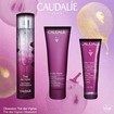 Caudalie Promo The Des Vignes Fresh Fragrance 50ml & Δώρο Shower Gel 50ml, Repairing Hand - Nail Cream 30ml