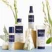 Phyto Douceur Softness Shampoo for All Hair Types 100ml - Travel Size Phyto Douceur Softness Shampoo for All Hair Types 100ml - Travel Size