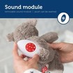 Zazu Musical Soft Toy Coco Bibi Κουκλάκι Νανουρίσματος Κοάλα, με Χτύπο Καρδιάς, Λευκούς Ήχους & Αισθητήρα Κλάματος, από 0 Μηνών Zazu Musical Soft Toy Coco Bibi Κουκλάκι Νανουρίσματος Κοάλα, με Χτύπο Καρδιάς, Λευκούς Ήχους & Αισθητήρα Κλάματος, από 0 Μηνών