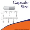 Now Foods Acetyl L-Carnitine 500mg 50veg.caps