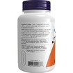 Now Foods GABA 500mg 100veg.caps