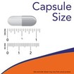 Now Foods Glycine 1000mg 100veg.caps