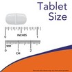 Now Foods Vitamin C-500 With Rose Hips 100tabs