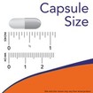 Now Foods Ginkgo Biloba 60mg 60veg.caps